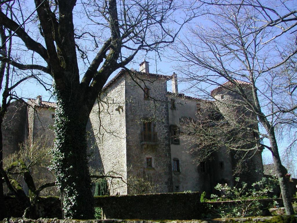 Chateau Du Cros Le Cros Kültér fotó